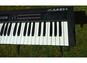 Roland JUNO-1 (16381)
