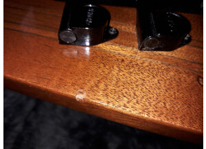 Gibson thunderbird 2