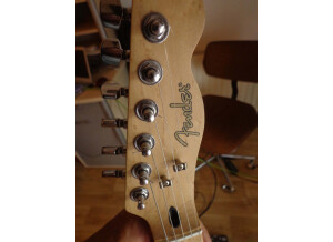 Fender Special Edition Lite Ash Telecaster (475)