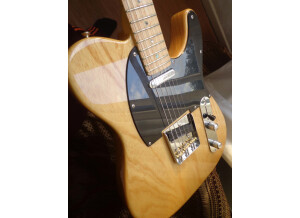 Fender Special Edition Lite Ash Telecaster (22232)
