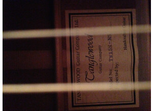 Tanglewood TW15 NS (93093)