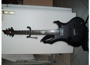 ESP LTD F Series - F-2005 (30th Anniversary Series)