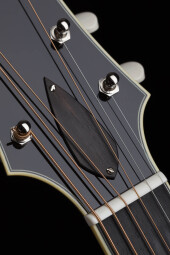 bill collings tribute at16 11 bill collings tribute at16 11