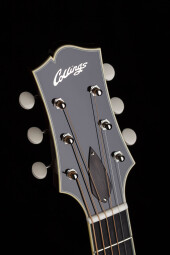 bill collings tribute at16 10 bill collings tribute at16 10