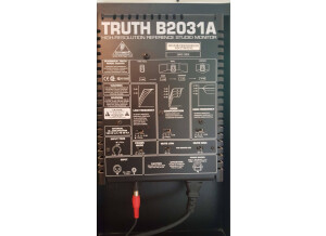 Behringer Truth B2031A (89557)
