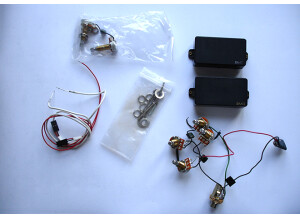 EMG Kit ZW Zakk Wylde