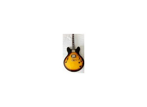 Sx Guitars GG6 Custom Semi-Hollow (44349)