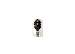 Sx Guitars GG6 Custom Semi-Hollow (59659)