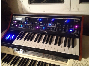 Moog Music Little Phatty Tribute Edition (13635)