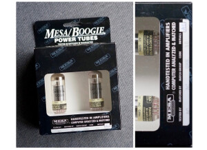 Mesa Boogie EL84 Duet