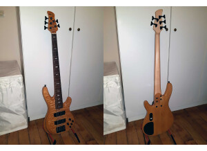 Bass TRB1005 1