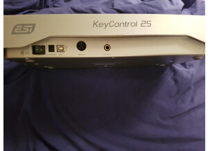 ESI Keycontrol 25