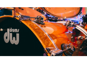 DW Drums Limited Edition Tamo Ash Exotic Collector