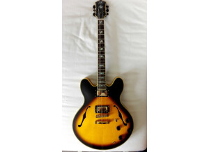 Sx Guitars GG6 Custom Semi-Hollow (4660)