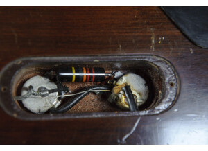 Gibson Les Paul Junior