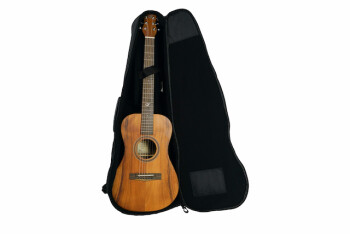 Journey Instruments Journey Junior JF880N : JF880N WITH BAG web