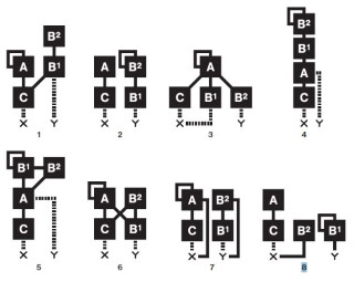 Digitone 3sch 01.JPG Digitone 3sch 01.JPG