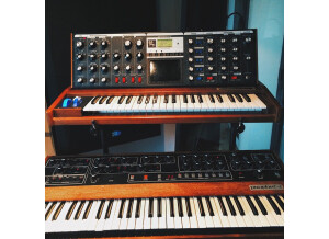 Moog Music Minimoog Voyager (44941)