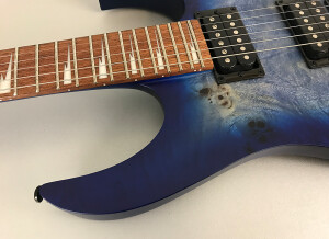 Ibanez RGRT621DPB (15530)