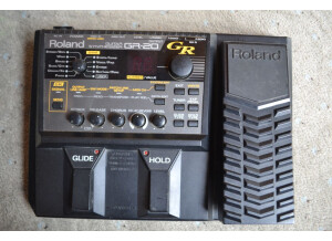 Roland 02.JPG