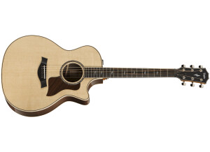 taylor 814ce v class fr 2018