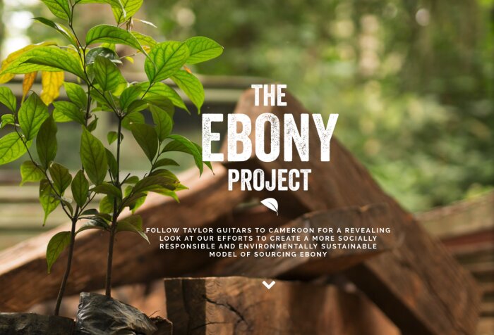 Capture d’écran 2018 05 30 à 16.42.03 Capture d’écran 2018 05 30 à 16.42.03