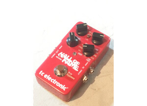 TC Electronic Hall of Fame Reverb (13039)
