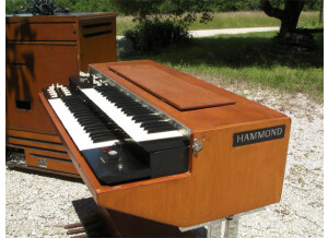 Hammond L100 P (96263)