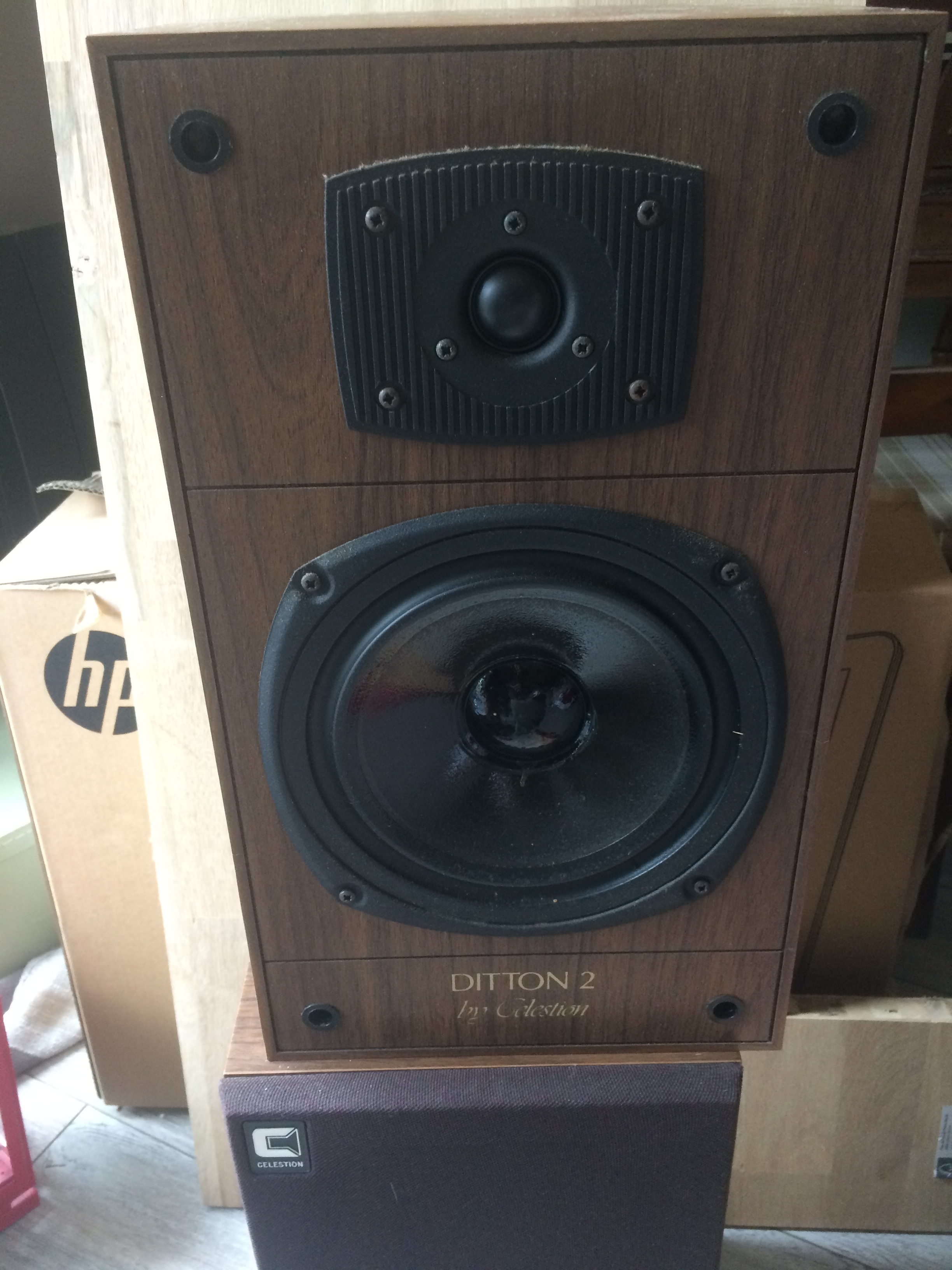 Celestion Ditton 2