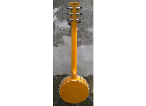Gretsch G9460 "Dixie 6" Guitar Banjo (26385)