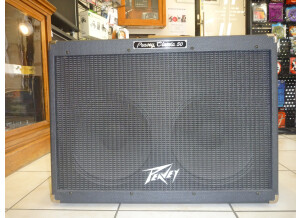 Peavey Classic 50/212 (Discontinued) (55578)