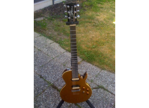 Chapman Guitars ML-2 Classic (83793)