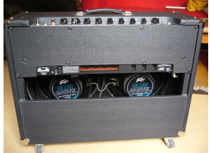 Peavey Classic 50 212