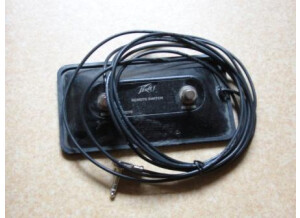 Peavey Classic 50 212