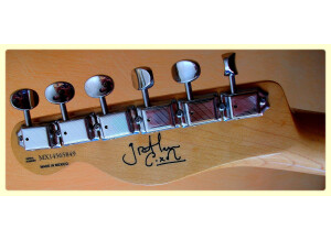 Fender Graham Coxon Telecaster (74404)