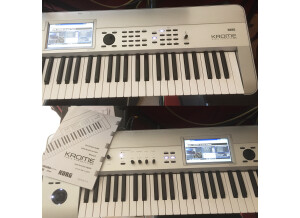 korg22