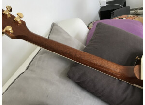 Gibson LES PAUL CUSTOM PLUS (79772)