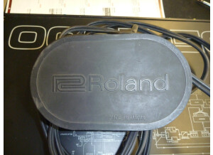 Roland SDE-2000 (11563)