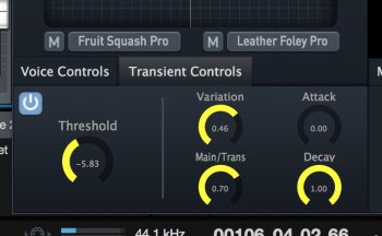 transients transients