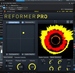 reformerinterface reformerinterface