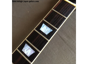 Greco SG SS 600 vintage japan guitars 20