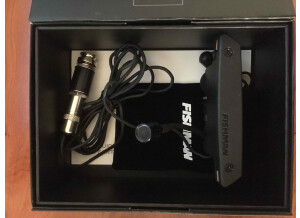 Fishman Rare Earth Mic Blend (33624)