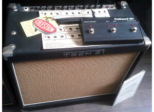 Tech 21 Trademark 60 1x12 (93731)