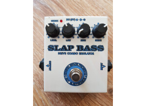 Amt Electronics Slap Bass