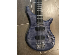 Vigier Arpege Bass (1841)