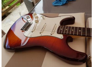 Fender Standard Stratocaster Plus Top LH (27168)
