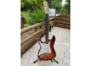 Fender Standard Stratocaster Plus Top LH (60312)