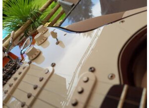 Fender Standard Stratocaster Plus Top LH (90652)