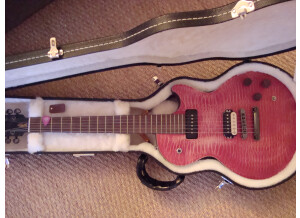 Gibson Les Paul BFG (79392)