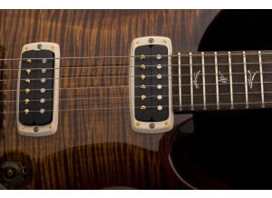 exp prs pauls guitar 2018 photo5